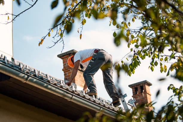 Best Local Roofing Companies  in Edgemont Park, MI