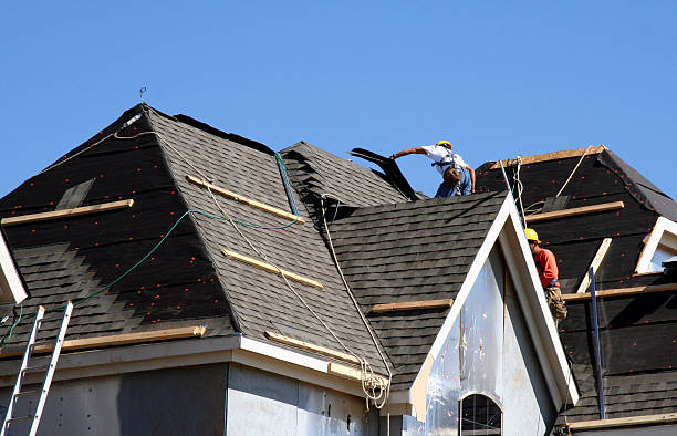 Best New Roof Installation  in Edgemont Park, MI