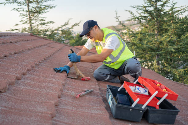 Professional Roofing Contractor in Edgemont Park, MI