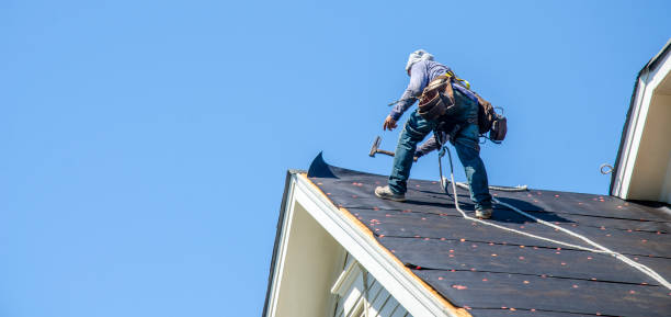 Roof Gutter Cleaning in Edgemont Park, MI
